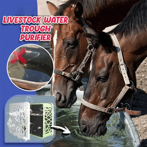 🔥LAST DAY 48% OFF 🔥 Livestock Water Trough Purifier