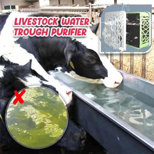 🔥LAST DAY 48% OFF 🔥 Livestock Water Trough Purifier