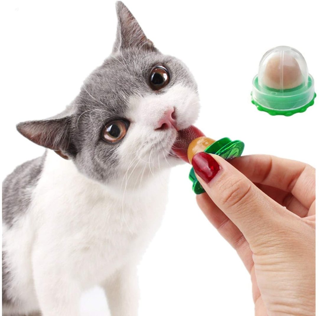 Healthy Cats Treat (5pcs)